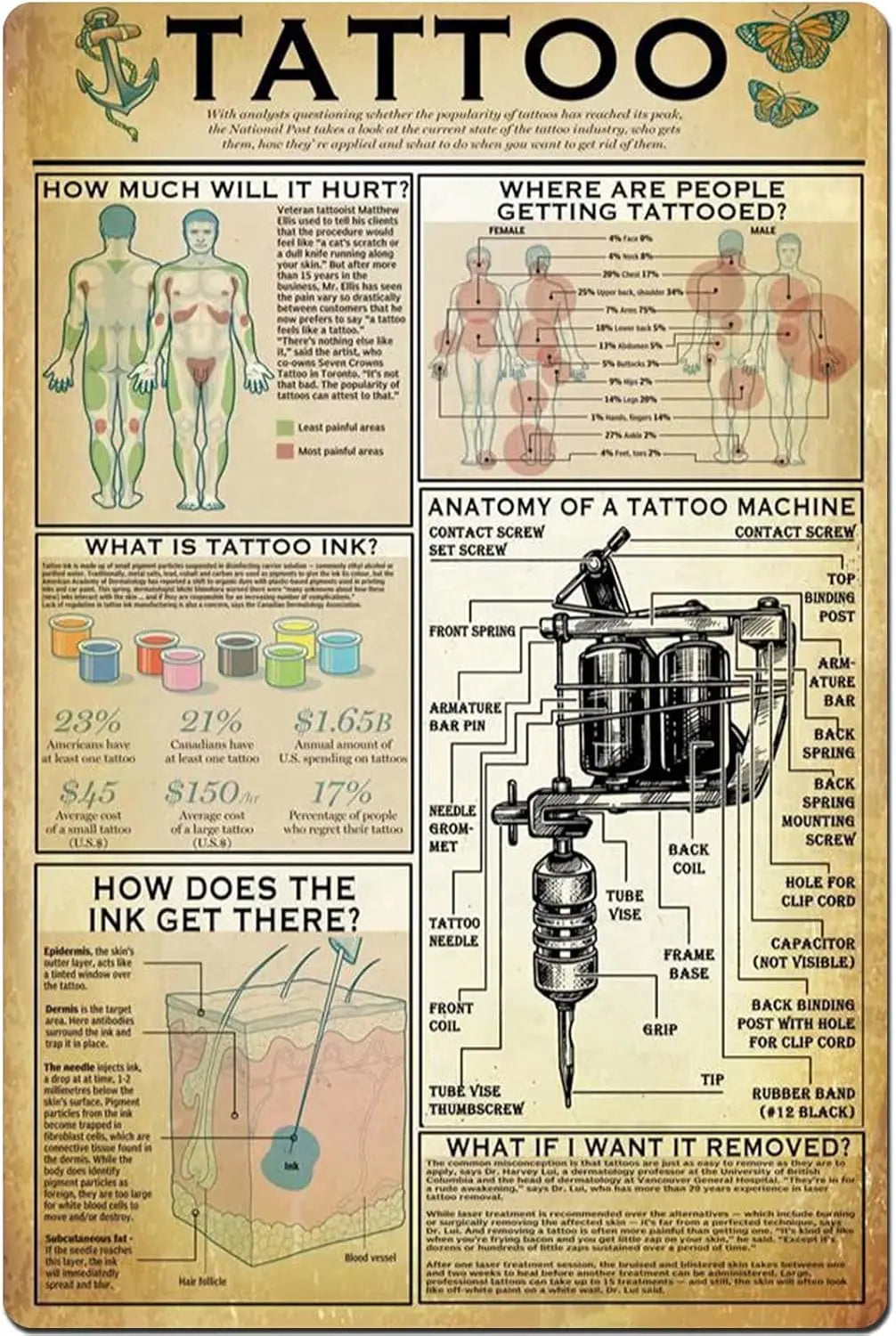Plaque métallique décorative | Infographie sur les connaissances des tatoueurs